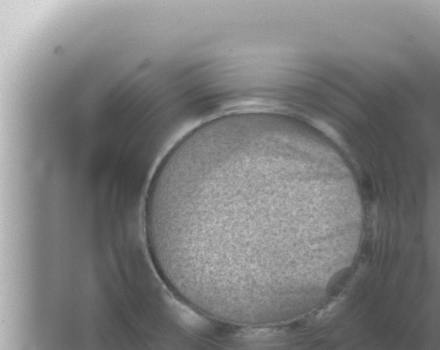 X0000066961474200604071951