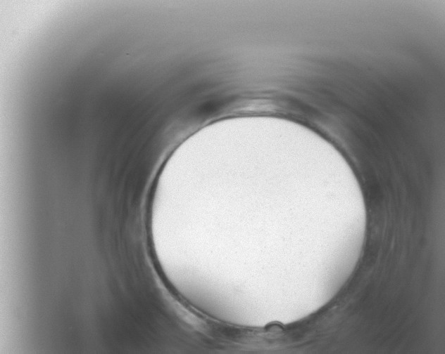 X0000066961475200604071951