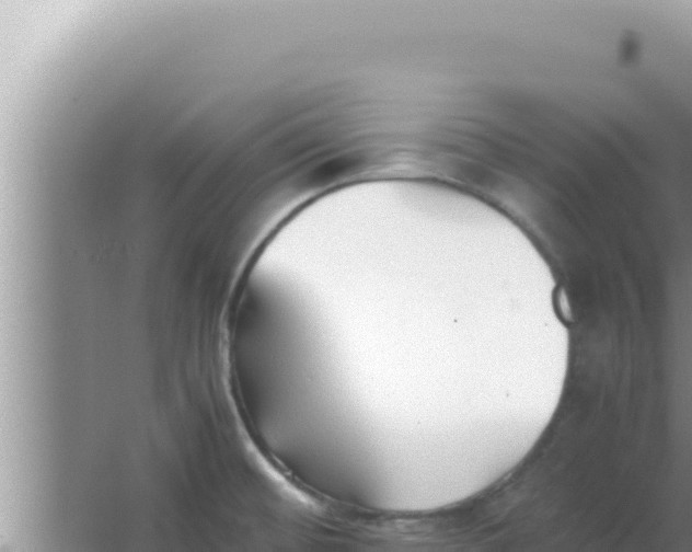 X0000066961476200604071951