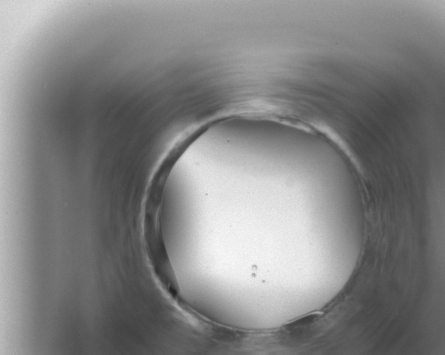 X0000066961477200604071951