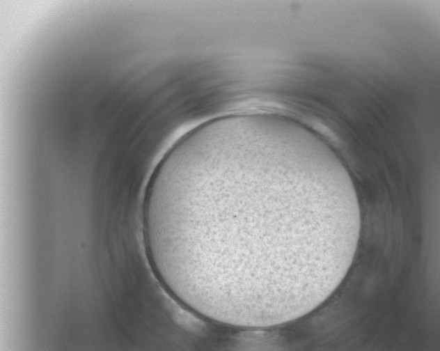 X0000066961478200604071951