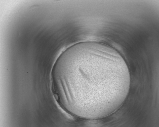 X0000066961479200604071951