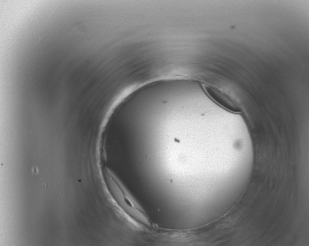 X0000066961480200604071951