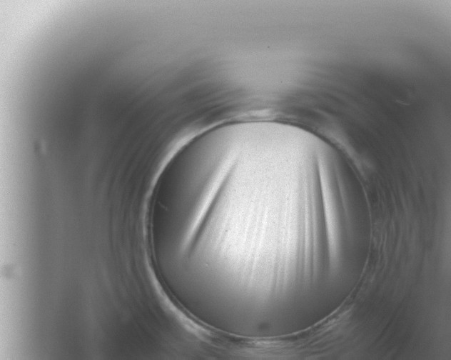 X0000066961483200604071951