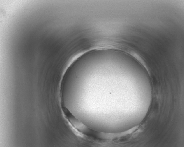 X0000066961485200604071951