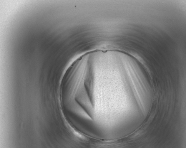 X0000066961486200604071951