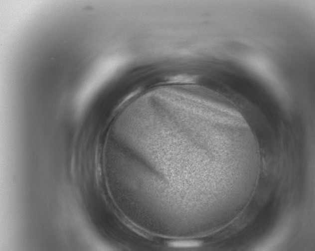 X0000066961487200604071951