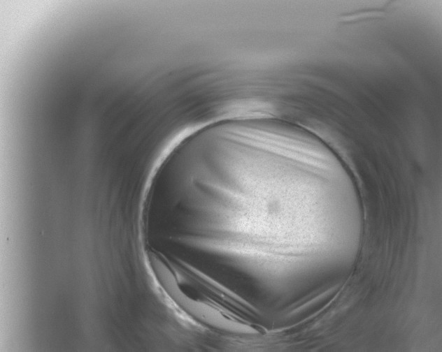 X0000066961488200604071951