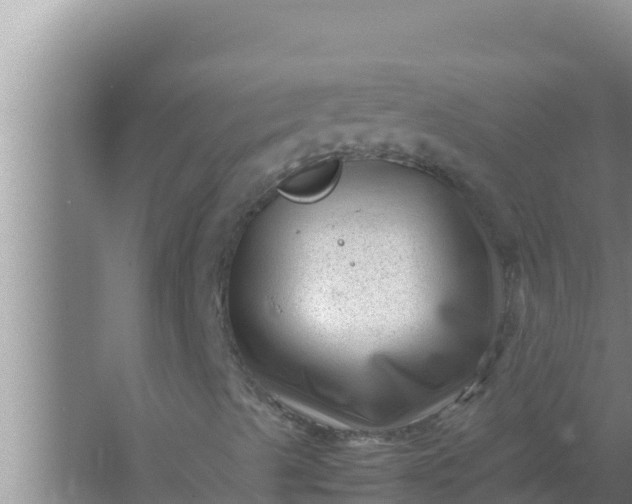 X0000066961489200604071950