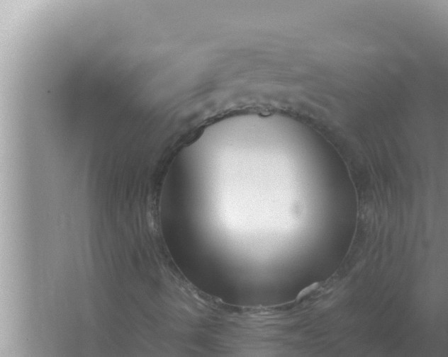 X0000066961490200604071950