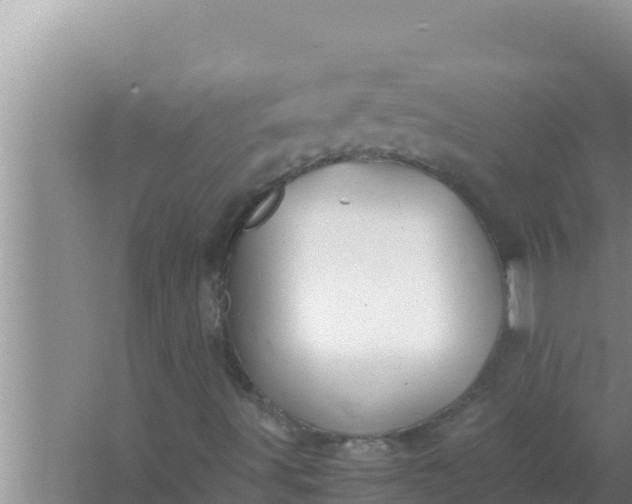 X0000066961491200604071950