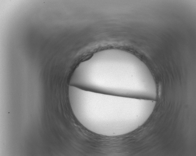 X0000066961492200604071950