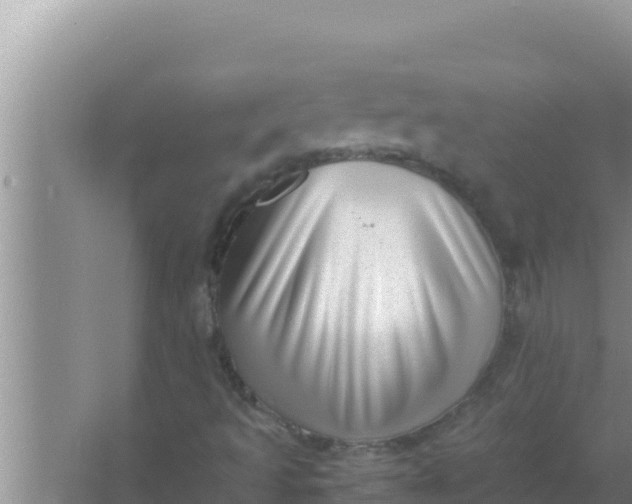 X0000066961493200604071950