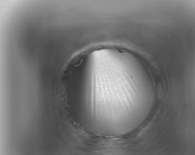 X0000066961494200604071950