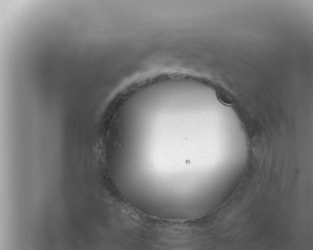 X0000066961495200604071950