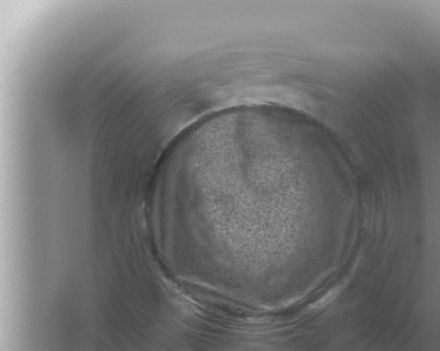 X0000066961497200604071950