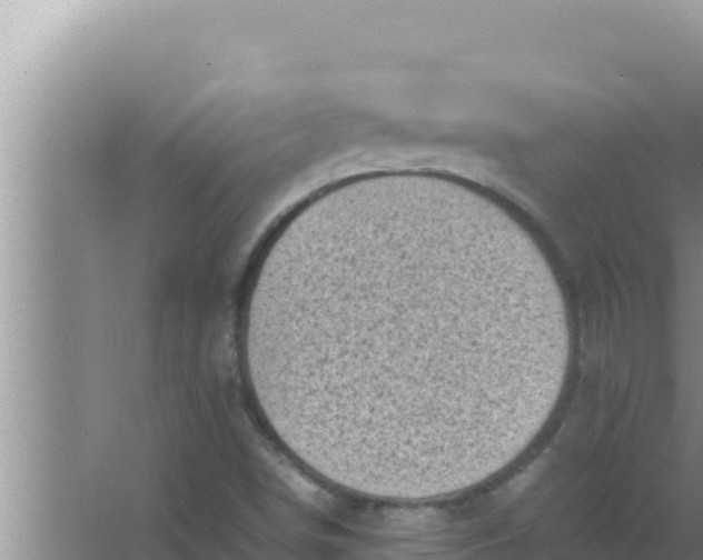 X0000066961498200604071950