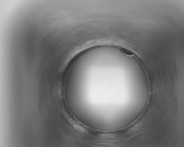 X0000066961499200604071951