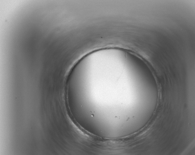 X0000066961500200604071951