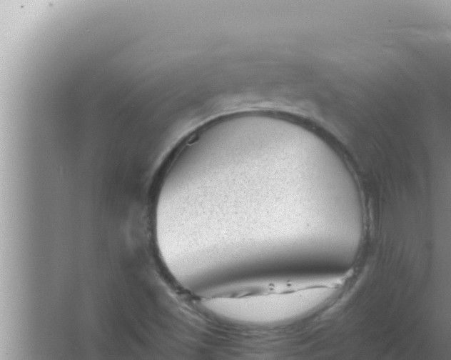 X0000066961501200604071951