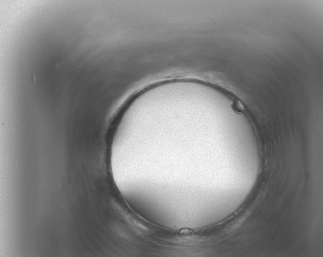 X0000066961502200604071951