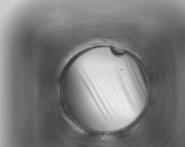 X0000066961503200604071951