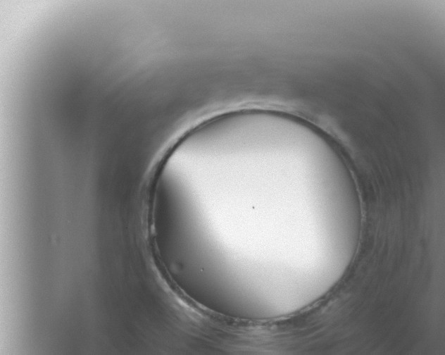 X0000066961504200604071951