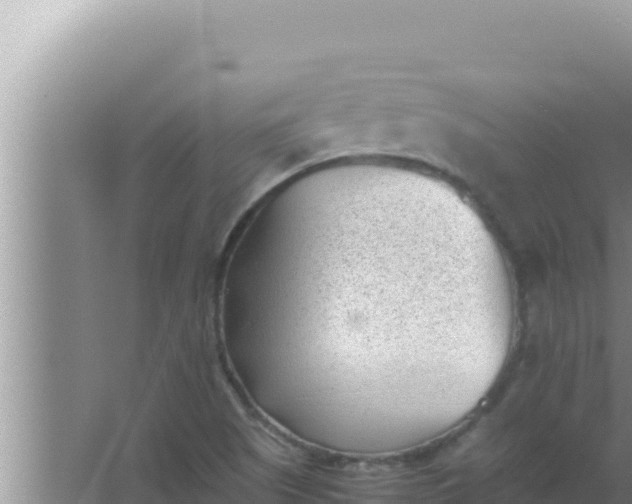 X0000066961505200604071951