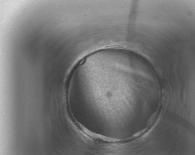 X0000066961506200604071951