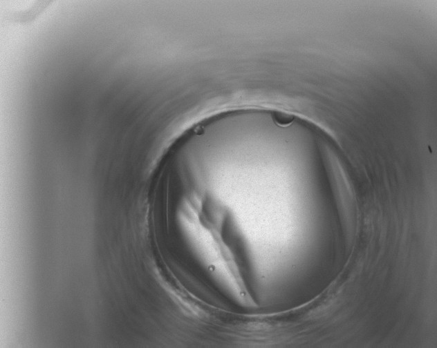 X0000066961507200604071951