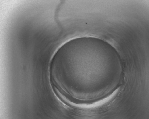 X0000066961508200604071951