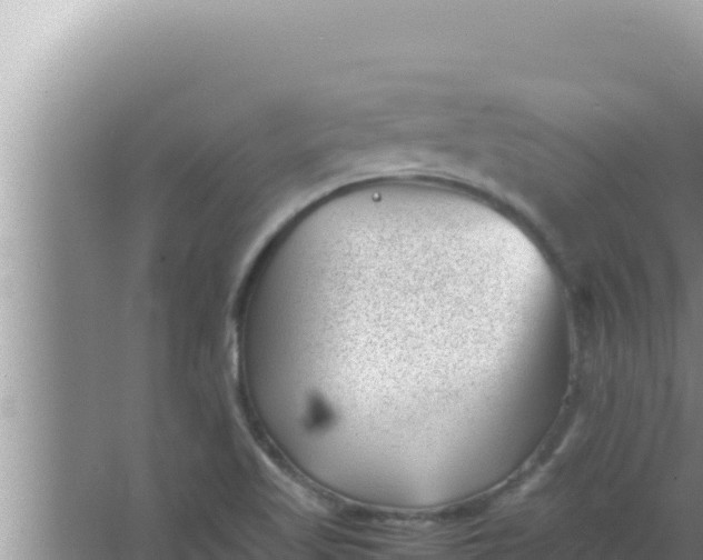 X0000066961509200604071951