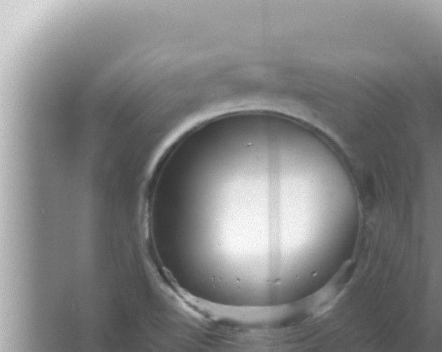 X0000066961510200604071951