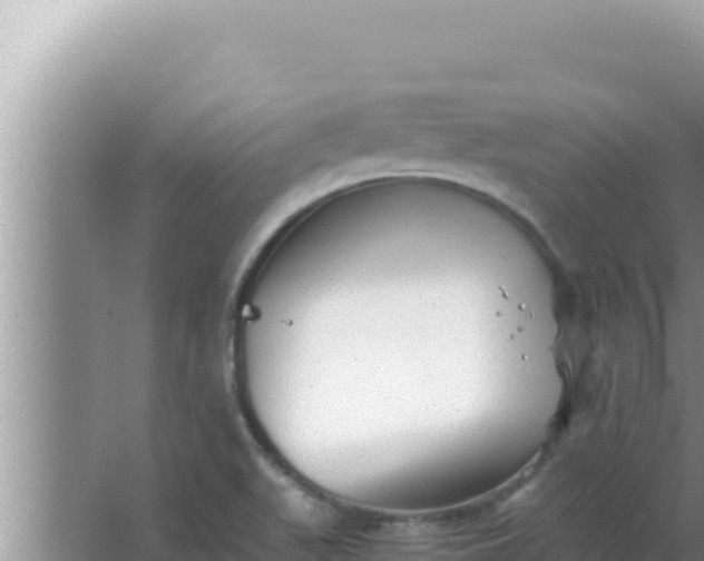 X0000066961511200604071951