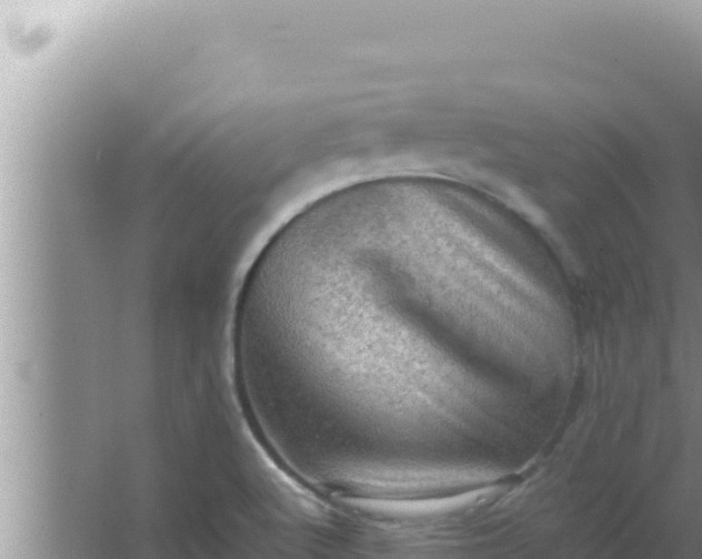 X0000066961512200604071951