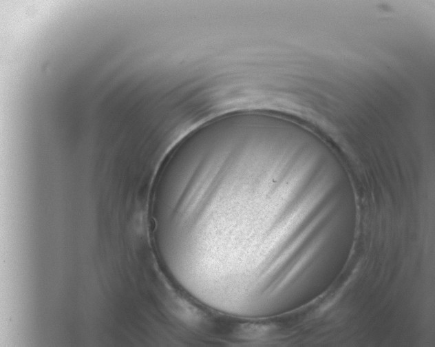 X0000066961513200604071951