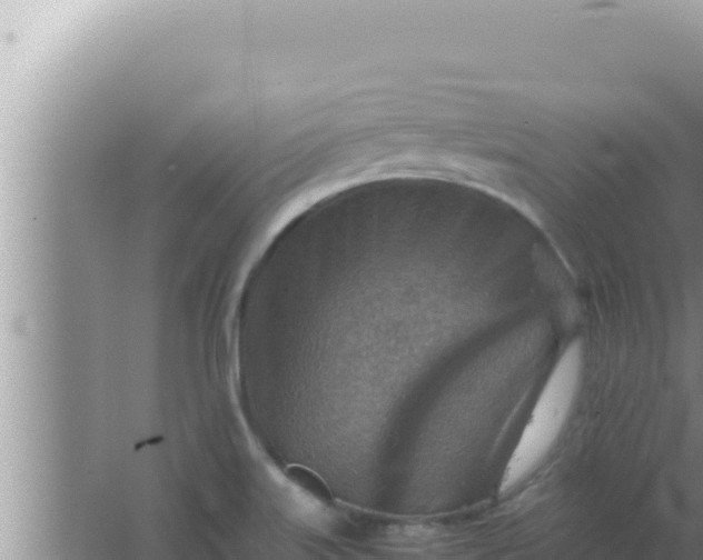 X0000066961515200604071951