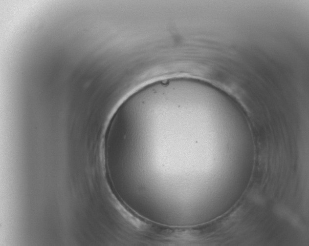 X0000066961516200604071951