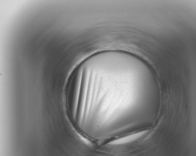 X0000066961517200604071951