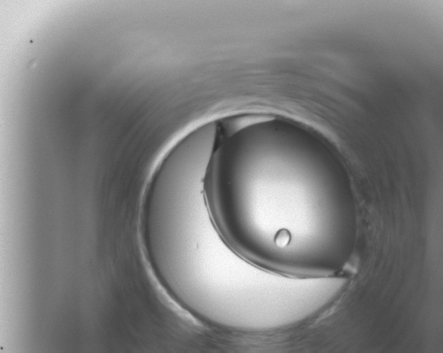 X0000066961518200604071951