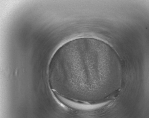 X0000066961519200604071951