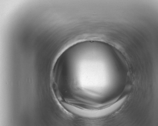 X0000066961520200604071951