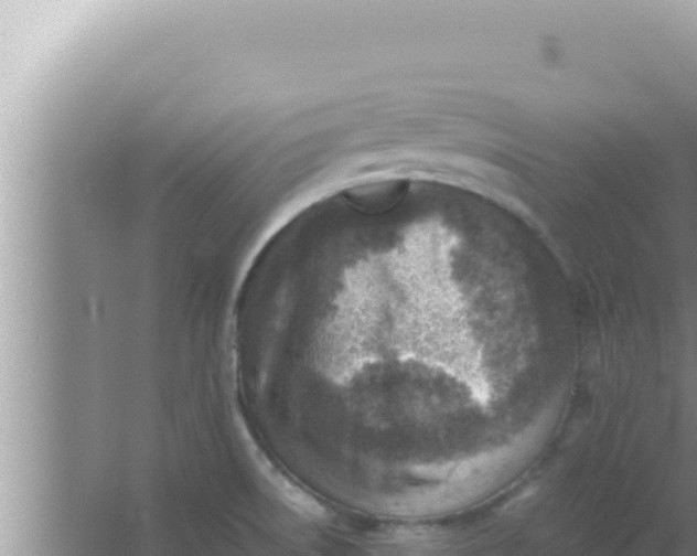 X0000066961522200604071951