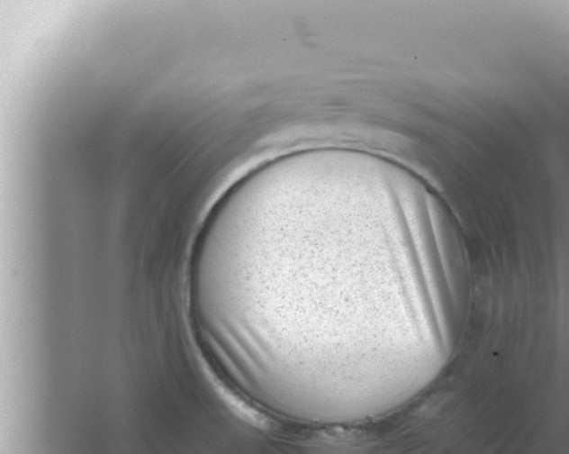 X0000066961523200604071951