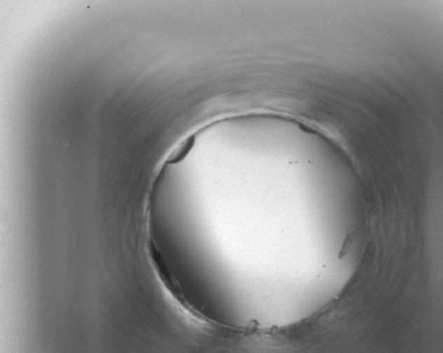 X0000066961524200604071951