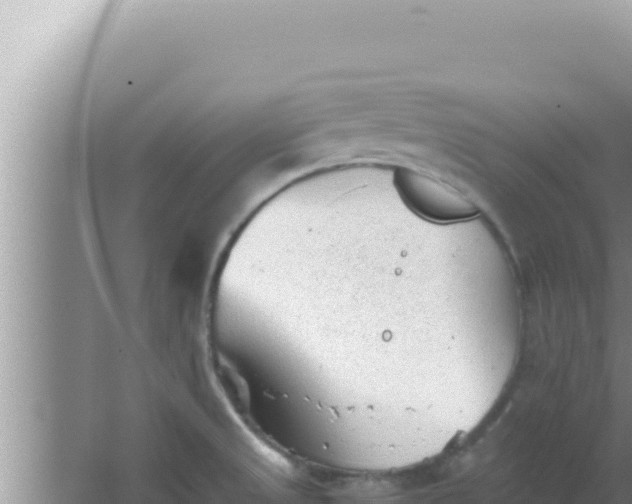 X0000066961525200604071951