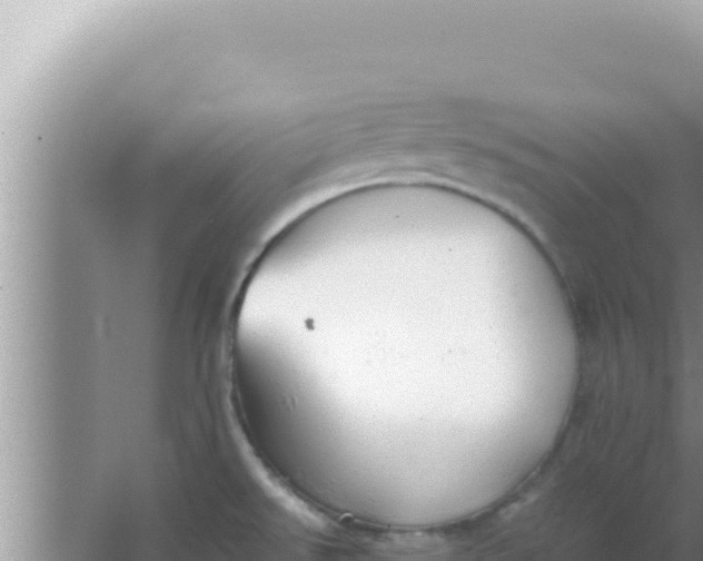 X0000066961526200604071951