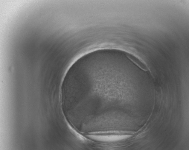 X0000066961527200604071951