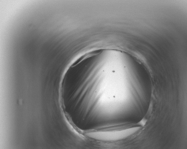 X0000066961528200604071951