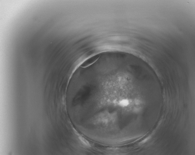 X0000066961529200604071951